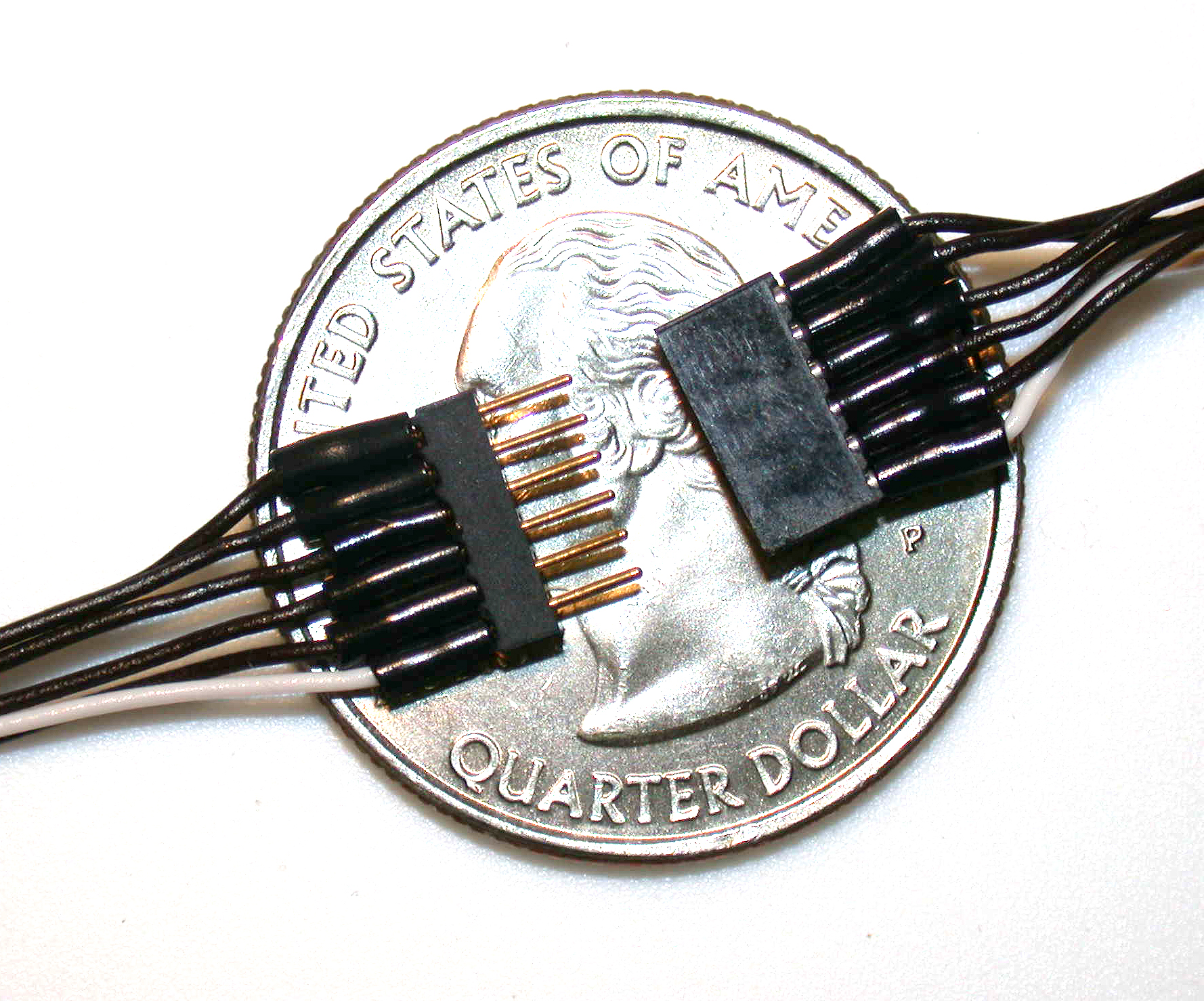 6-Pin Mini Connector (Black and White Wires)